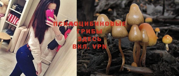 синтетический гашиш Алексеевка